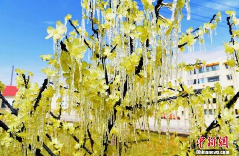 瀵掗湶鐧婚珮璧忕,鍚冭瀮锜圭櫥楂樿祻瀵掗湶