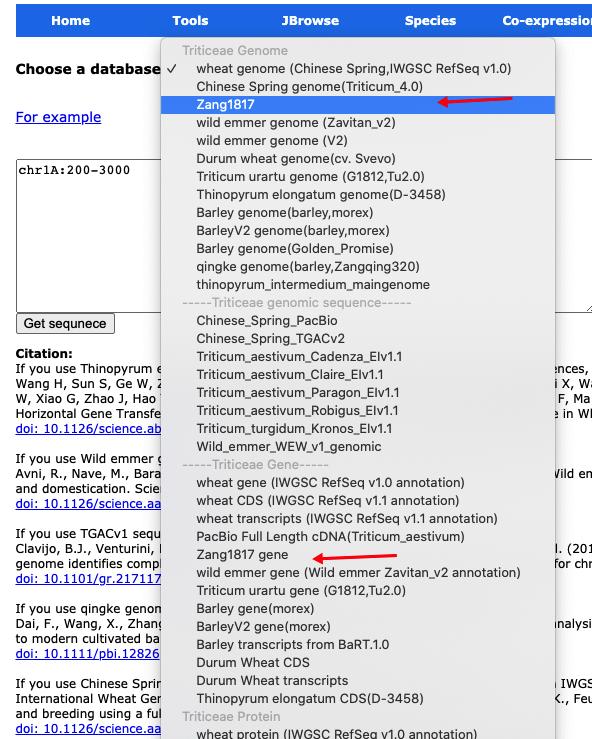 小麦基因组序列查询,小麦基因组