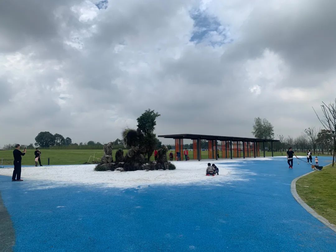 双流运动公园网红,双流运动公园网红打卡地