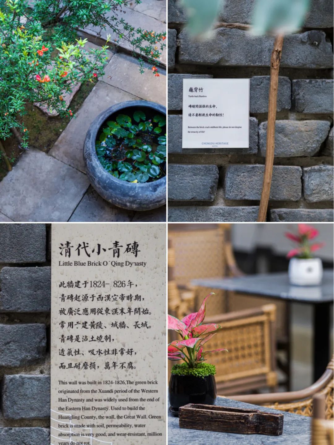 在成都发现一家宝藏酒店,成都市区宝藏酒店