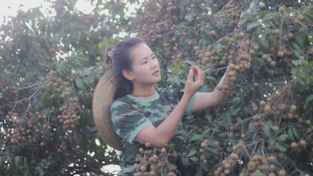 从退役女兵到企业老总，再到村*党**总支部书记，她如何开始新的征程？