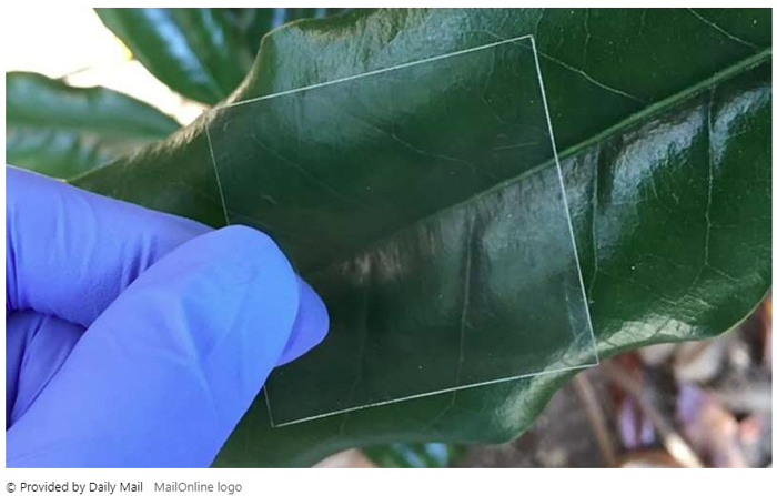 每日新闻简报2020.12.7,每日新闻短讯播报