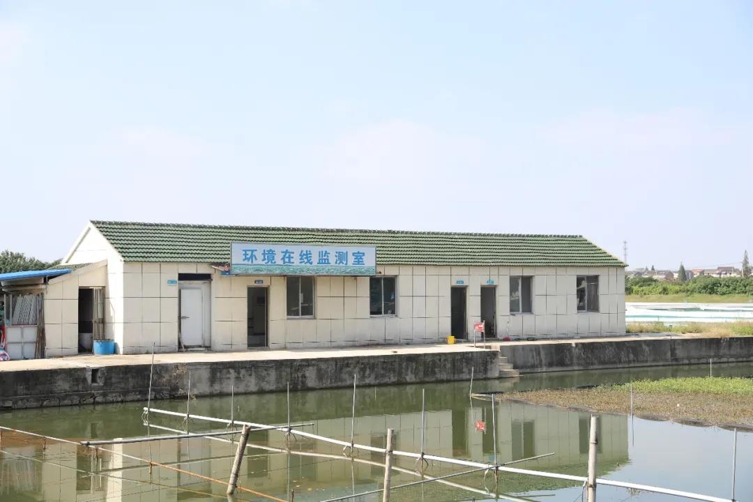 中华好蟹颁奖,中华好螃蟹