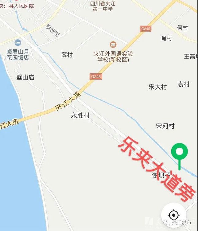 绿茵场上的争霸赛,绿茵足球比赛现场