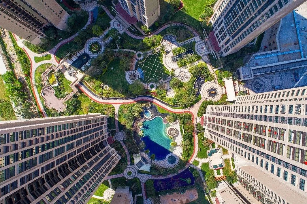 建“圳”四十年：中建集团与深圳经济特区共奋进