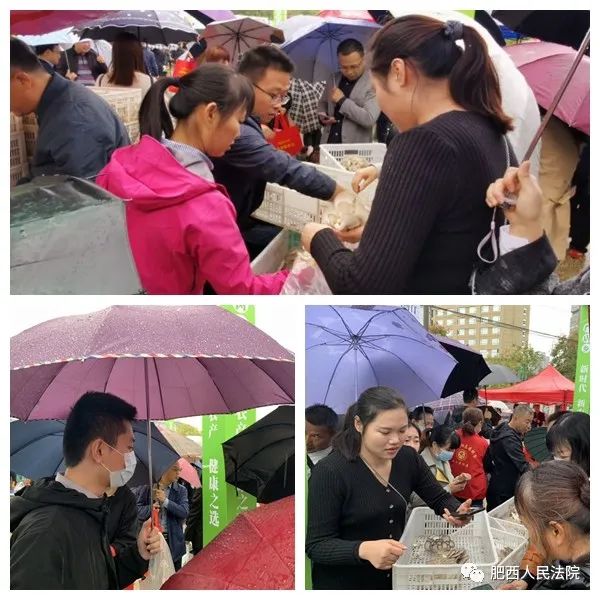 法院消费扶贫主题党日活动 (法院主题党日活动精准扶贫)