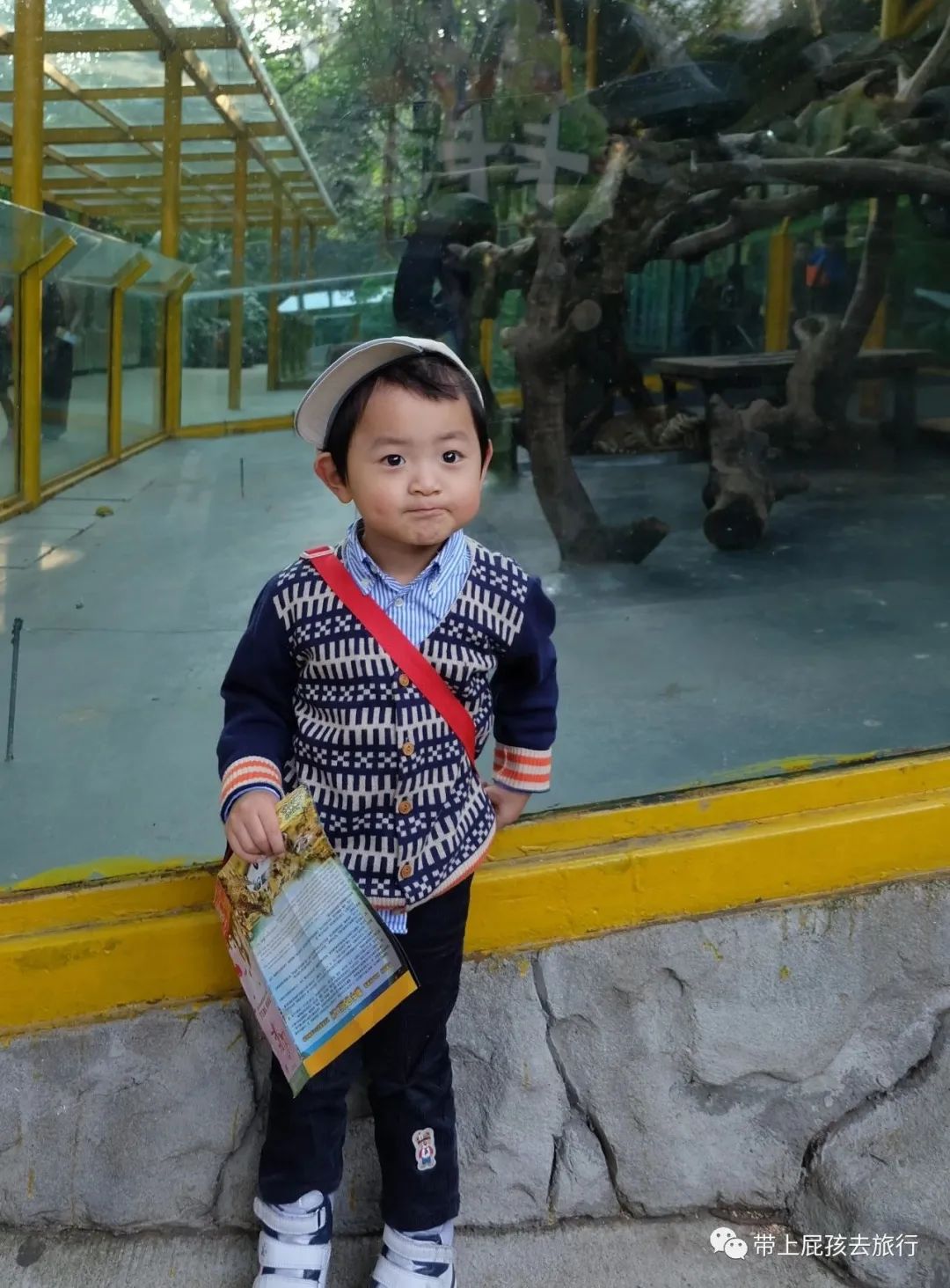 长隆选哪个酒店,广州长隆怎么选酒店