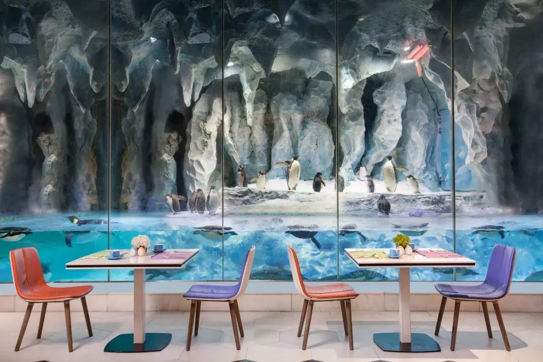 长隆选哪个酒店,广州长隆怎么选酒店