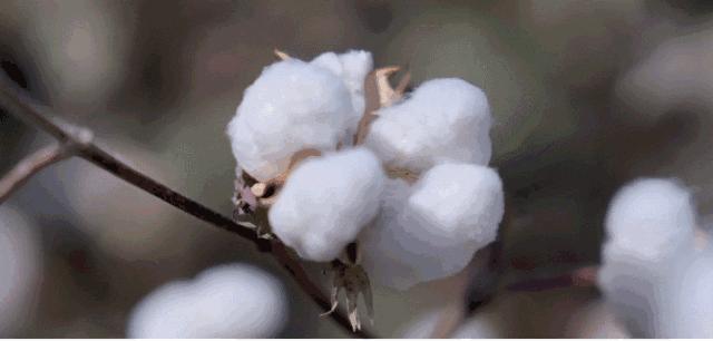 航空防臭袜,航空防臭袜子