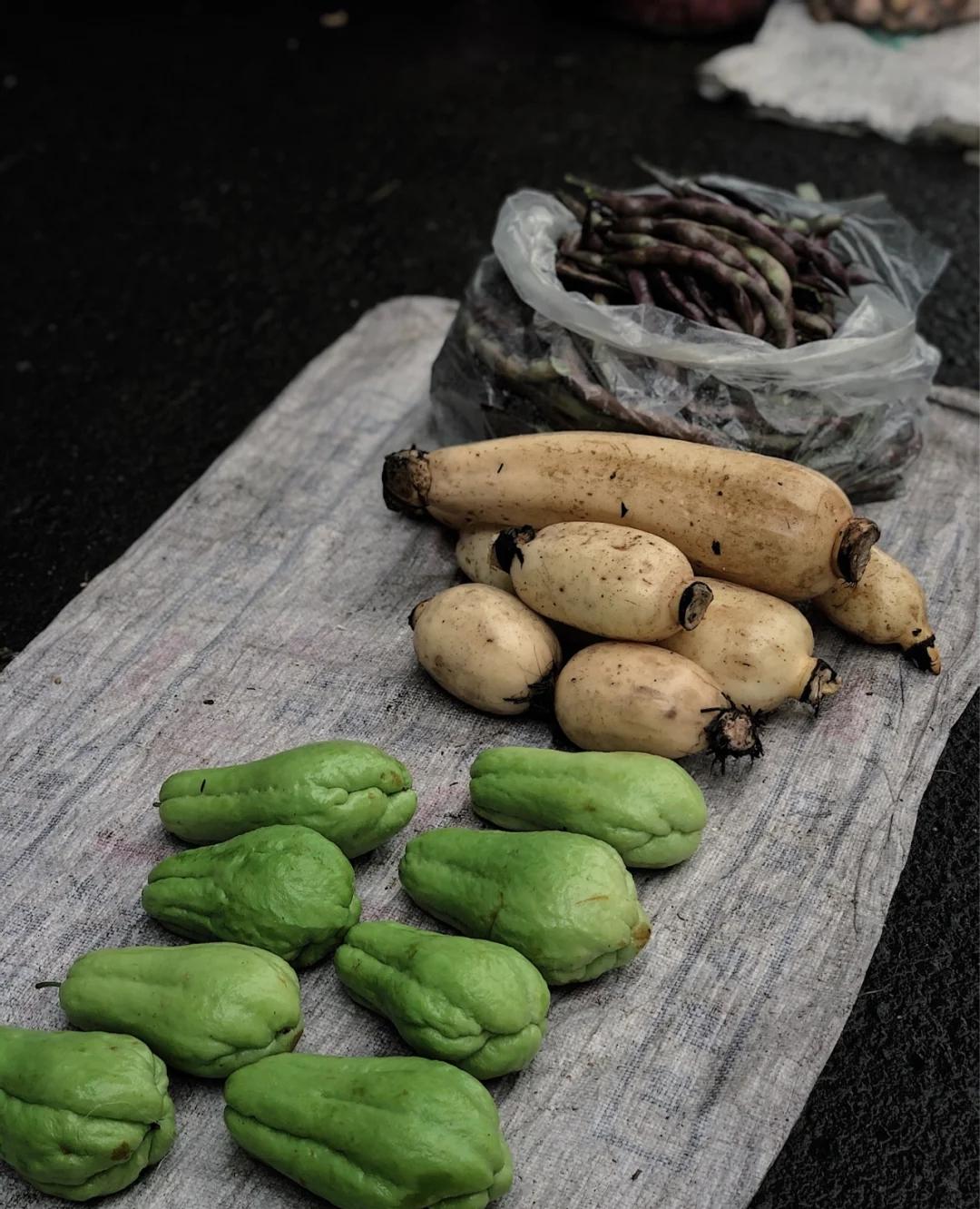 我的家乡武都怎么介绍,介绍我的家乡陇南武都