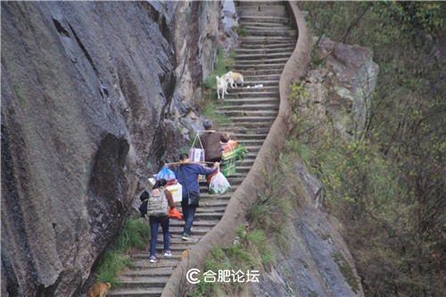 “七日一徽说”之二十八——“九龙出海”岭上关（上）