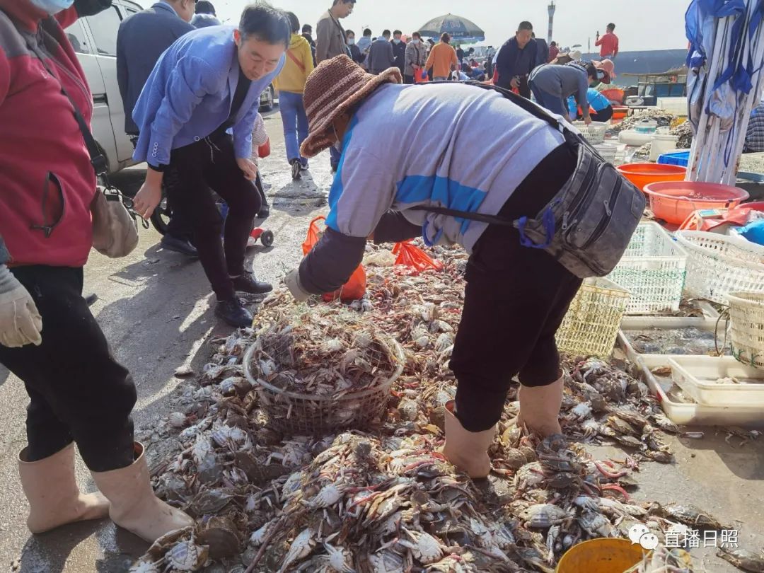 螃蟹5元一斤,日照海鲜螃蟹多少钱