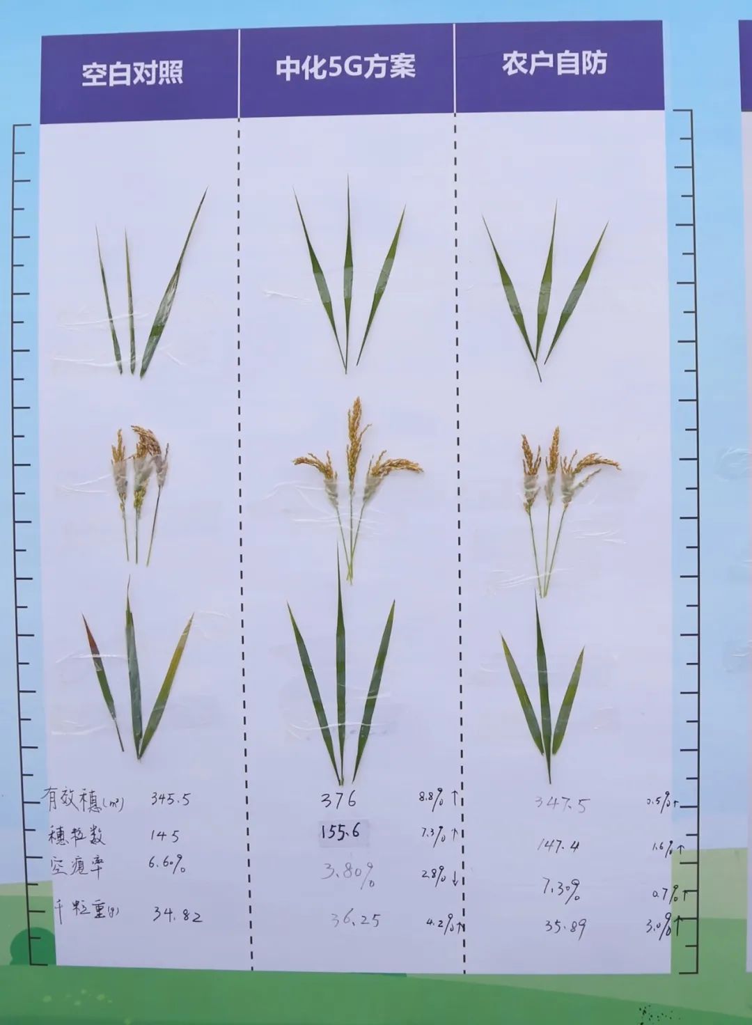 中化农业五合一,中化农业map水稻套餐