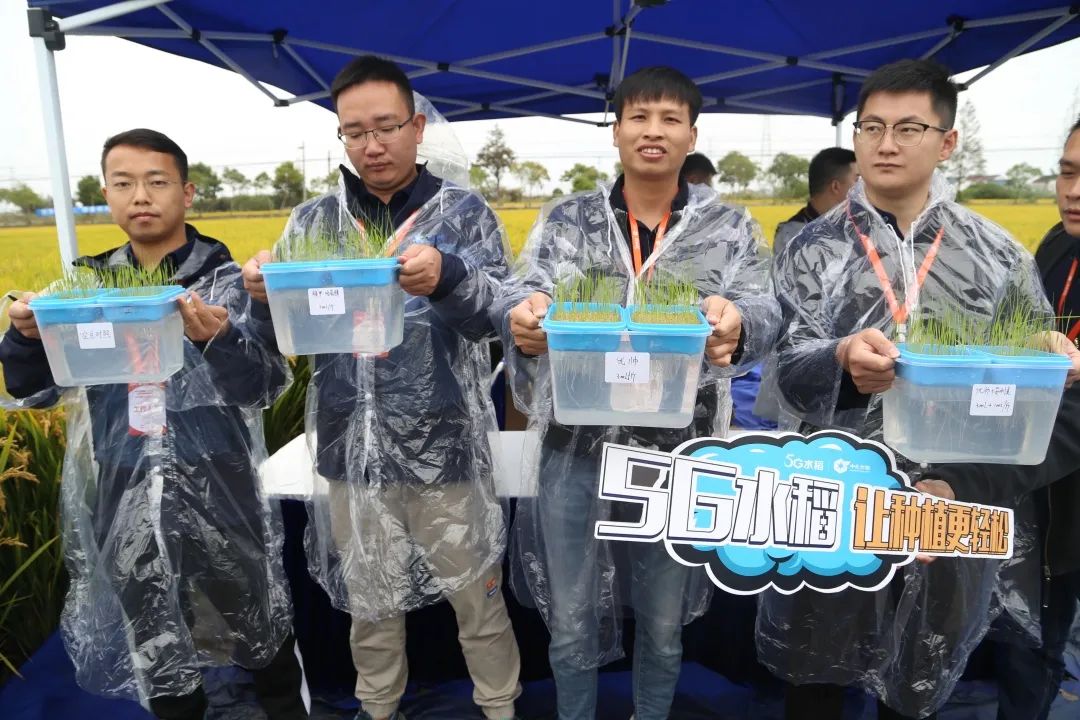 中化农业五合一,中化农业map水稻套餐