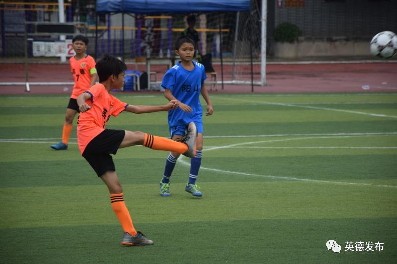 英德新闻新学校,英德新闻头条今天新闻