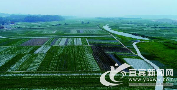 宜宾市叙州区区委书记刘海昌,宜宾叙州区刘海昌