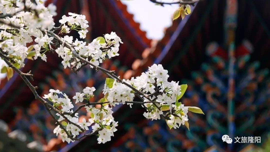 微游巫山,微游游