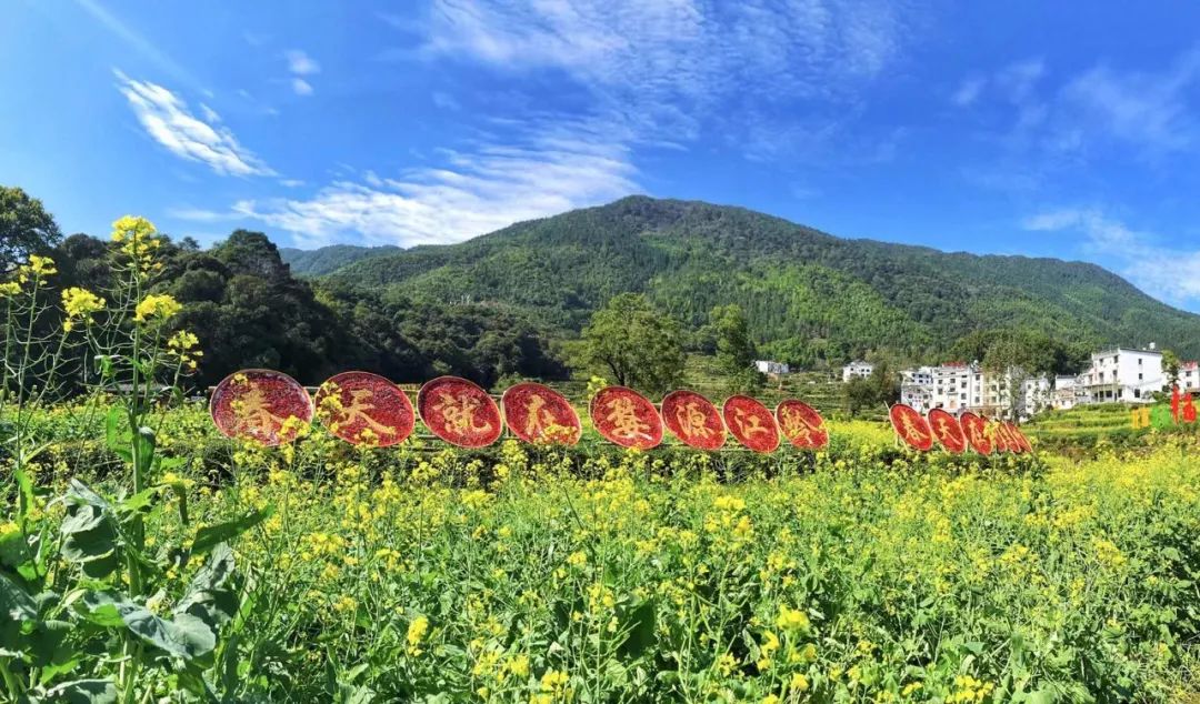 以“朱子文化”为媒!婺源县纪念朱子诞辰890周年暨晒秋赏枫文化旅游系列活动开幕式隆重举行!