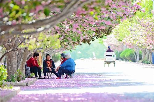 “齐”心“鲁”力｜烟台莱阳：生态濯村的幸福蝶变