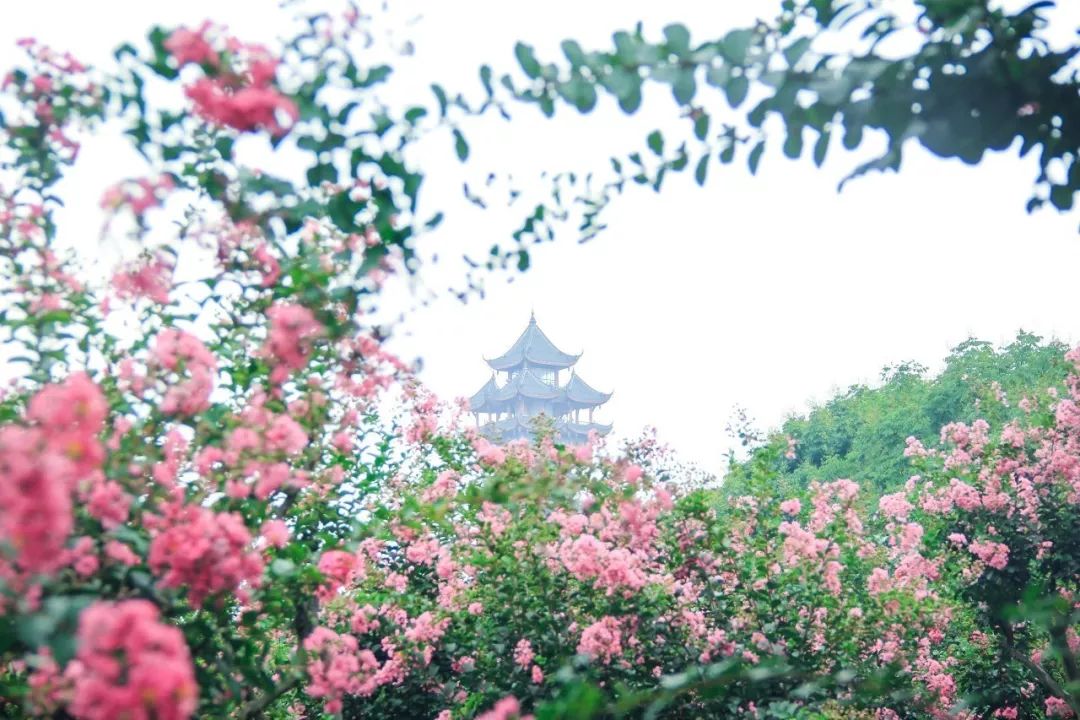 成都1100个公园俯瞰,成都100个公园规划图