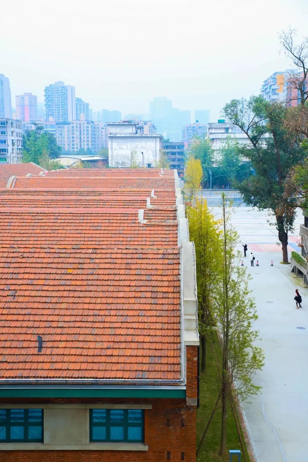 成都1100个公园俯瞰,成都100个公园规划图