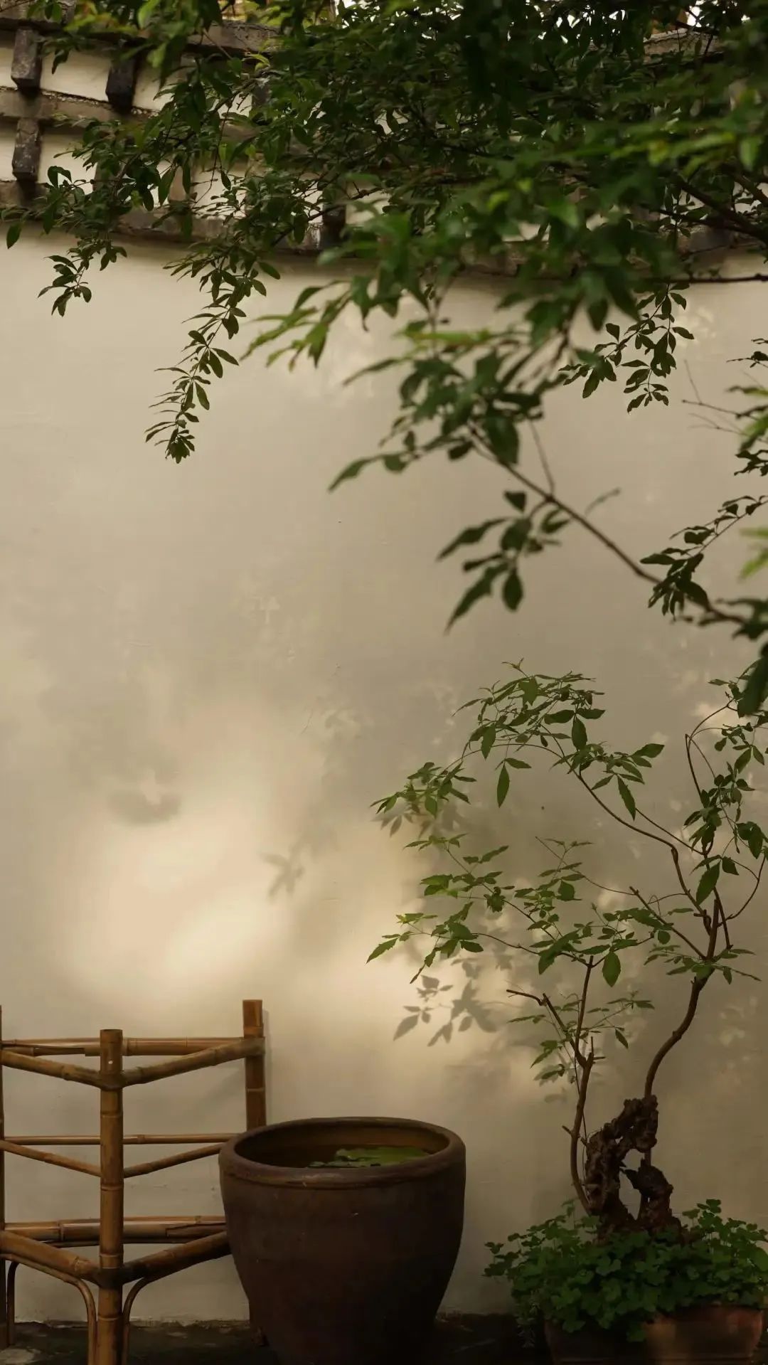 带地图去旅行,带地图回大明