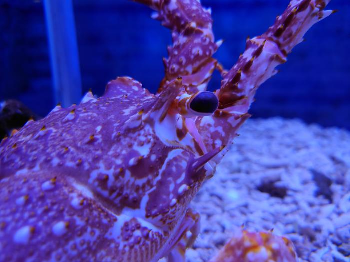 性能拉满电脑,性能拉满软件