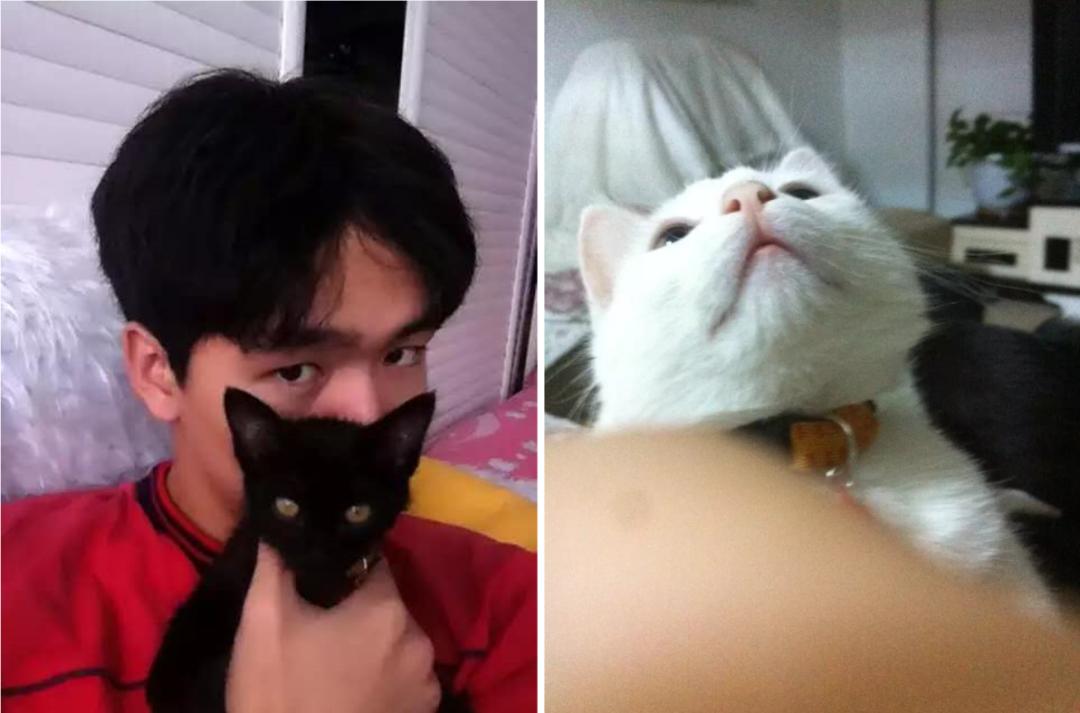 从高中辍学到获最佳学生论文——清华硕士王义达的非典型AI之路