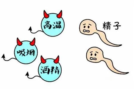 世界男性健康日男性健康标准,世界男性健康日