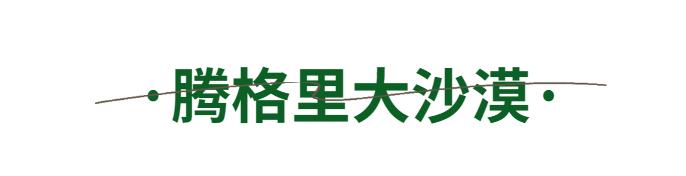宁夏适合3-4月份旅游,宁夏的秋天