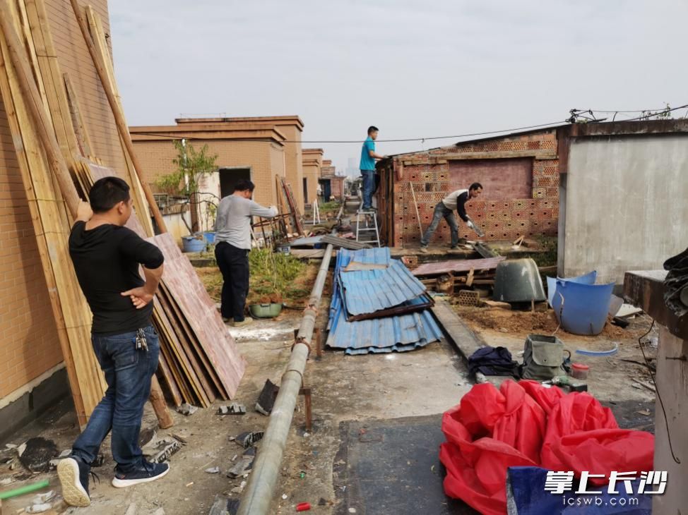 楼顶农场免费承包,楼顶微型农场设计