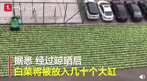 宇宙的尽头是美食,宇宙的尽头美食