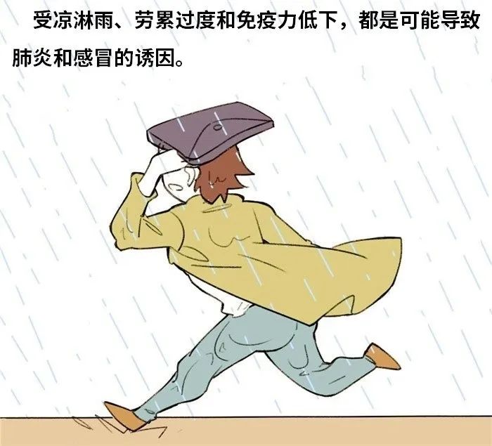 鲁威渔医号丨肺“肿了”怎么办？