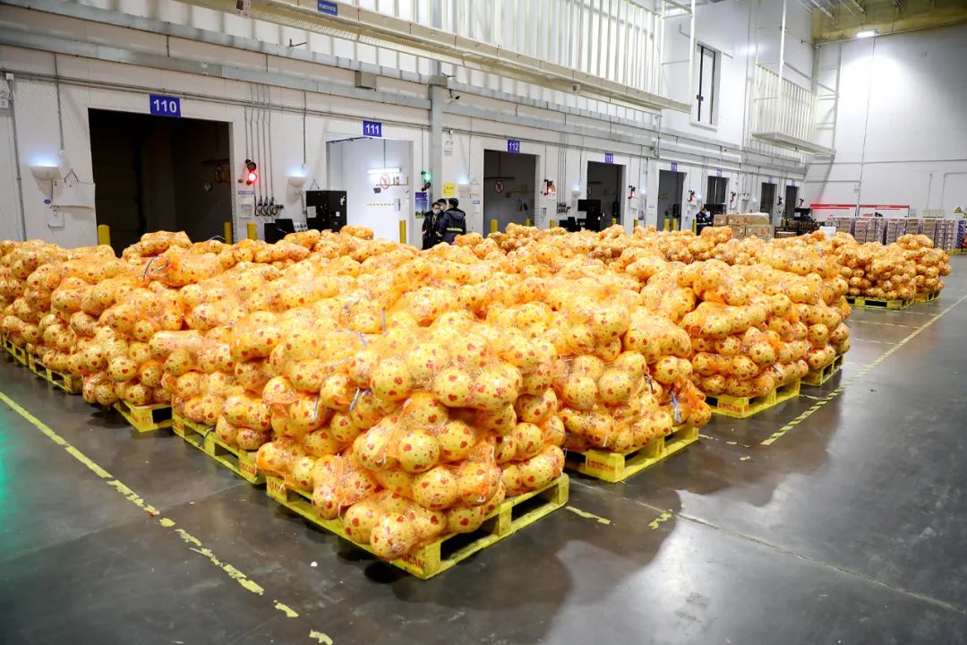 冷链食品健康吗,冷链食品安全智慧化监管