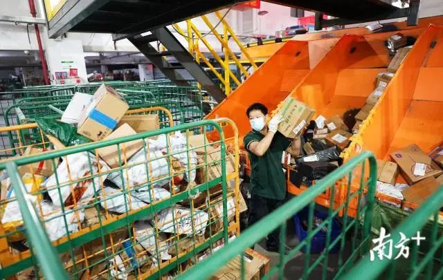 双十一堆成山的快递如何派件？东莞快递人这样做！