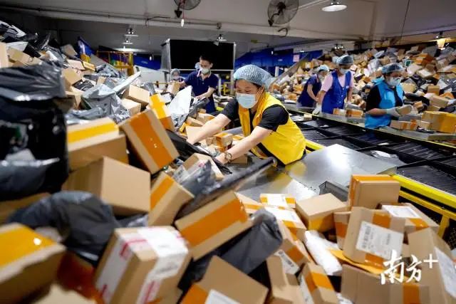 双十一堆成山的快递如何派件？东莞快递人这样做！