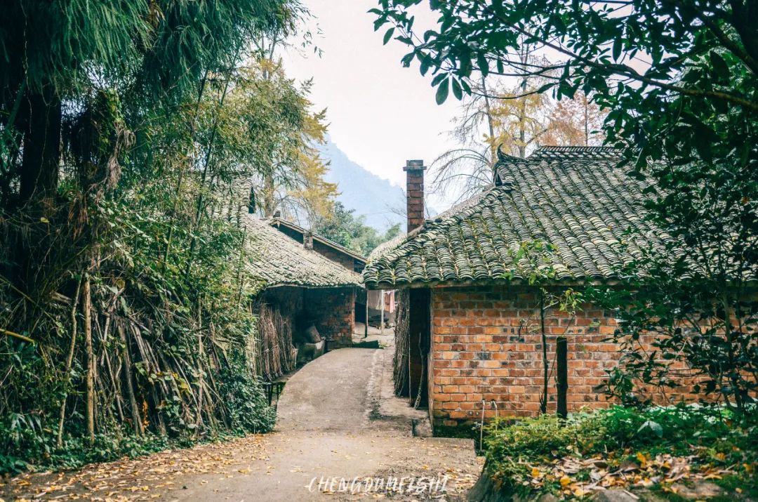 初秋彩林成都周边秘境,成都附近彩林秘境