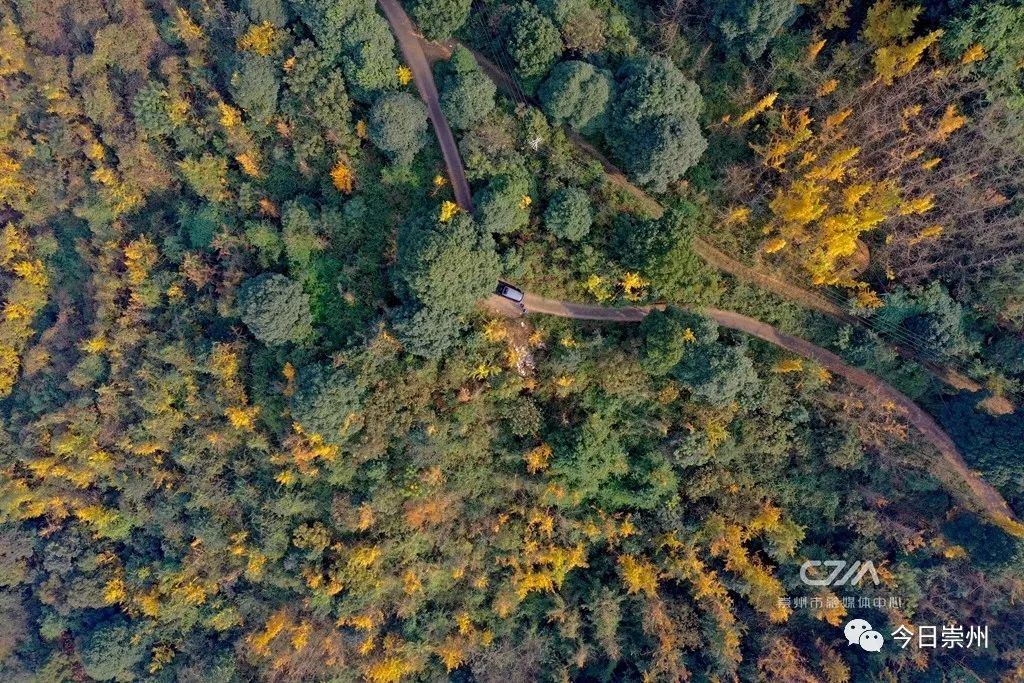 初秋彩林成都周边秘境,成都附近彩林秘境