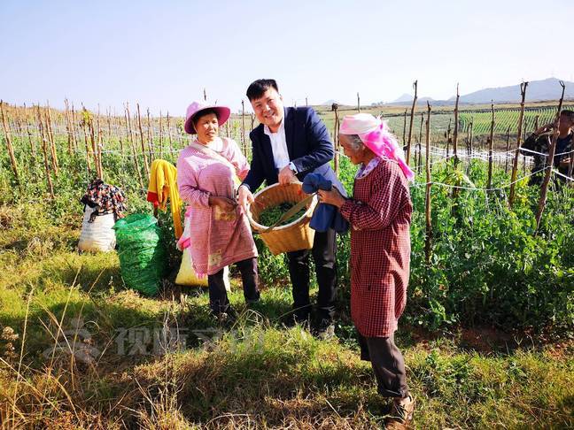 弘扬新时代西畴精神｜颜玉锐：走出大山又回到大山的致富带头人