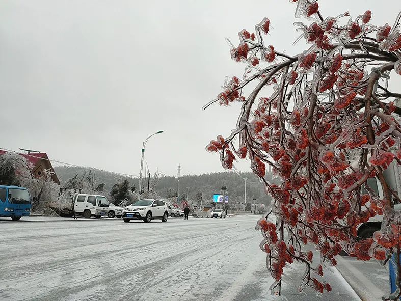 延边滑雪东北已率先进入雪季,延边开启滑雪季快来嗨翻冬天