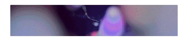 肖央一站到底,一站到底冯巩相声大全