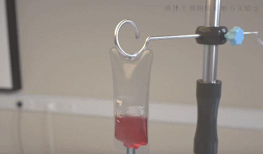 免疫细胞疗法与干细胞疗法,最简单通俗科普干细胞知识