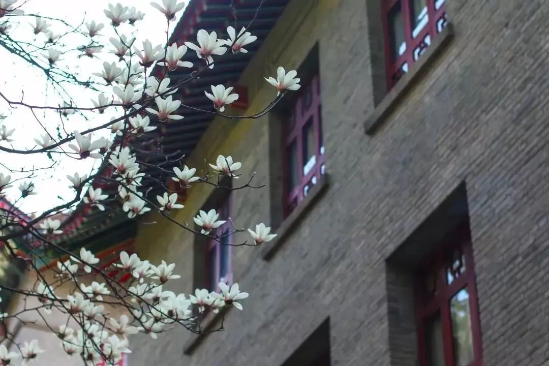 在师大的一天,在师大的生活