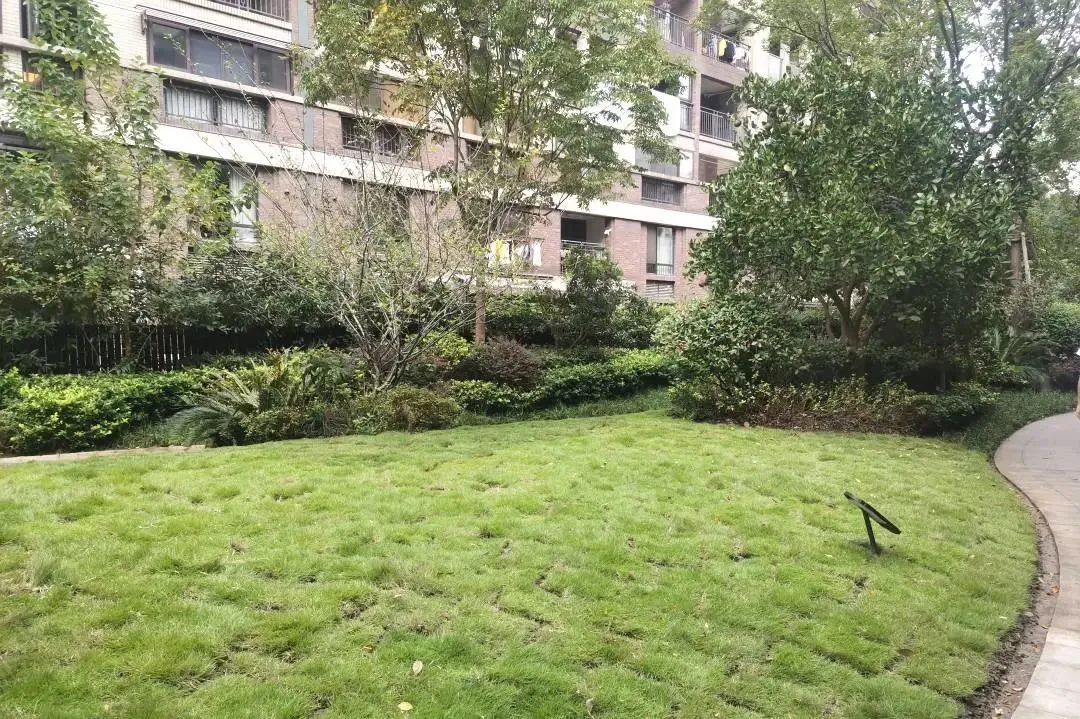 滨江高端小区比较集中的区域,滨江top5小区