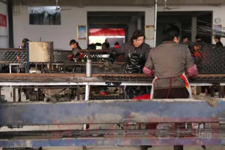 包树网是什么,淮滨包树网是什么