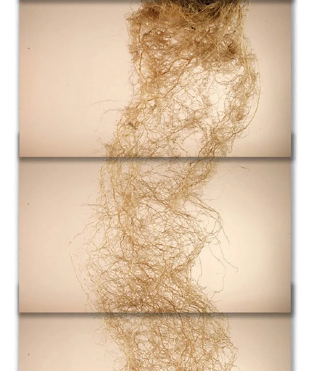 土这种物质，可太冤了