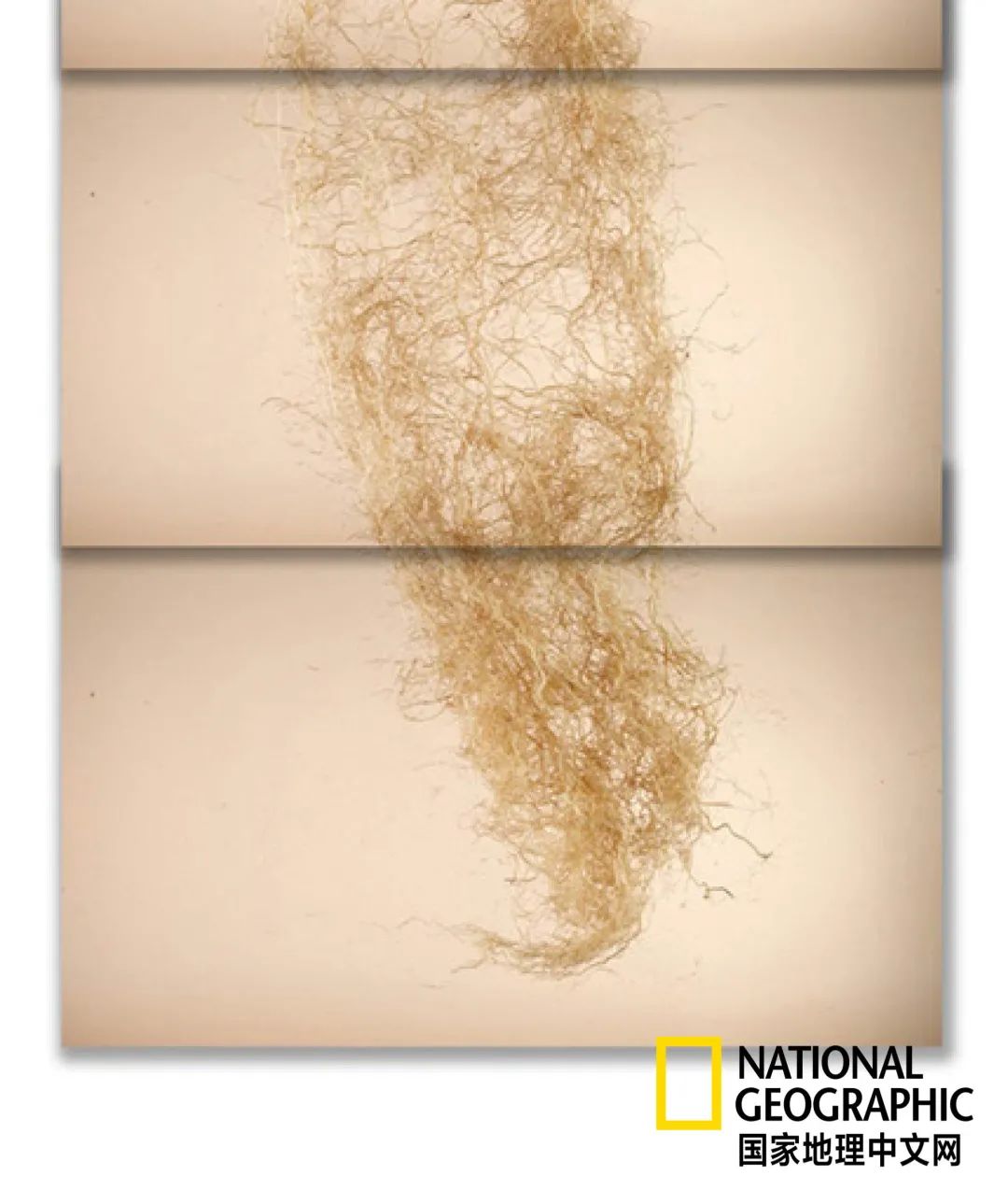 土这种物质，可太冤了