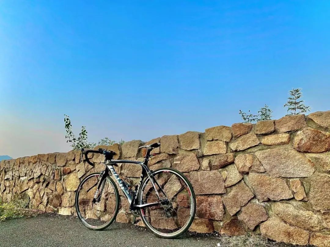 大家都骑什么车公路车,北京车友骑什么公路车