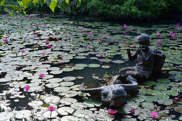 去三亚拍亲子写真照选什么地方,三亚旅拍亲子照爷爷奶奶可以去吗