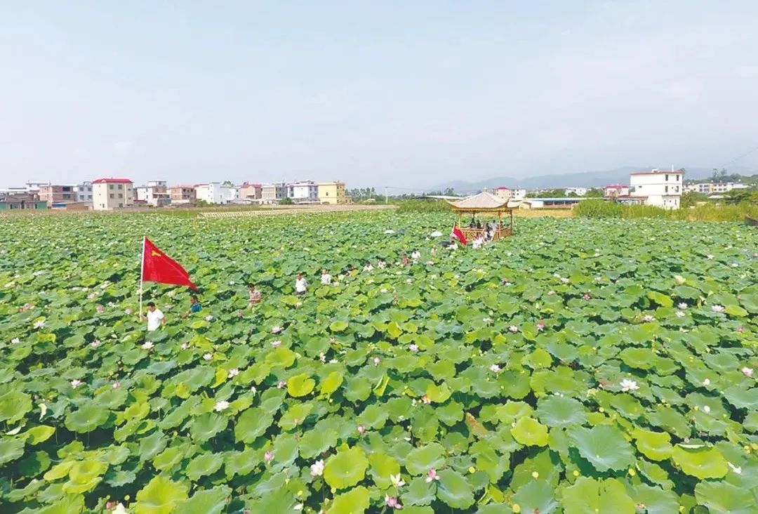 我市乡村旅游示范村名单,三星级乡村旅游区